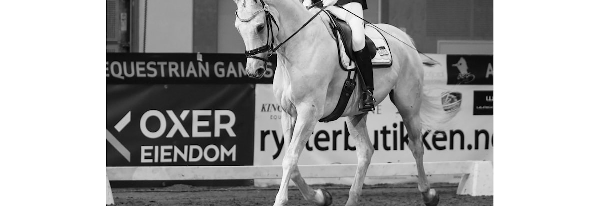 LANDSSTEVNE DRESSUR MED NORSK BREEDERS TROPHY